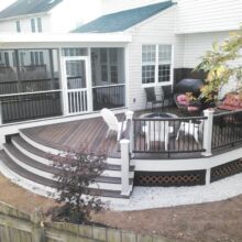 Trex Deck by Felice Decks