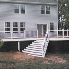 Trex Deck by Felice Decks