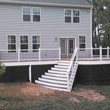 Trex Deck by Felice Decks