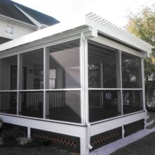 Trex Deck by Felice Decks