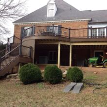 Trex Deck by Felice Decks