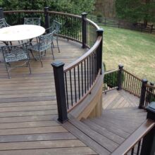 Trex Deck by Felice Decks