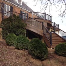 Trex Deck by Felice Decks