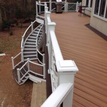 Trex Deck by Felice Decks