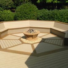Trex Deck by Felice Decks