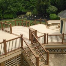 Trex Deck by Felice Decks